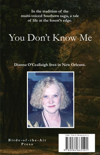 You Don't Know Me back cover